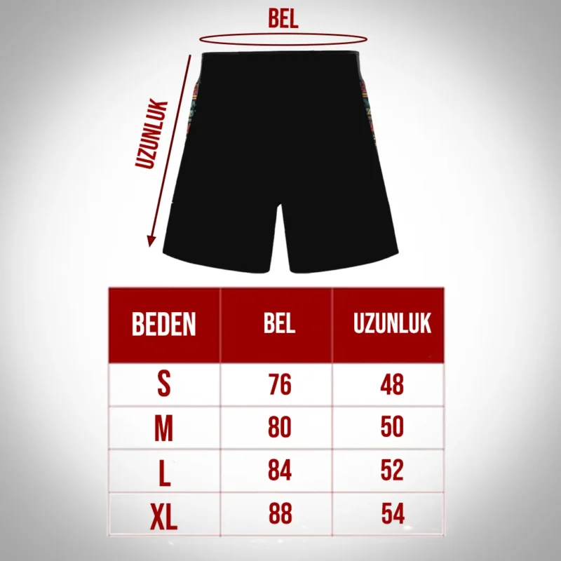 Sigma Illuminado MMA Shorts - Görsel 4